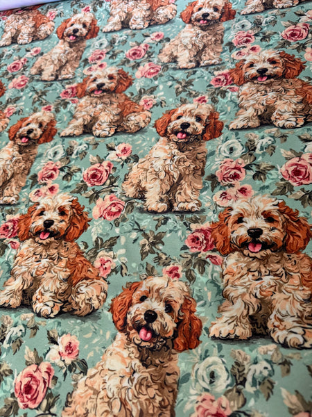Bess the Cavoodle Bonded Poly Nylon